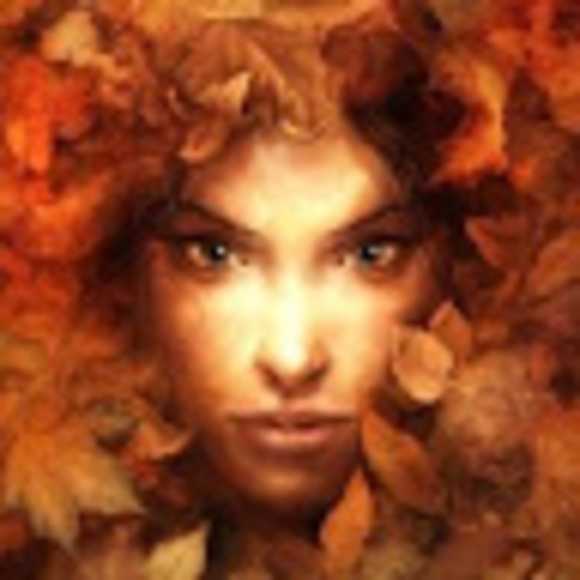 Meet your Posher, Bru - Picture 1 of 1